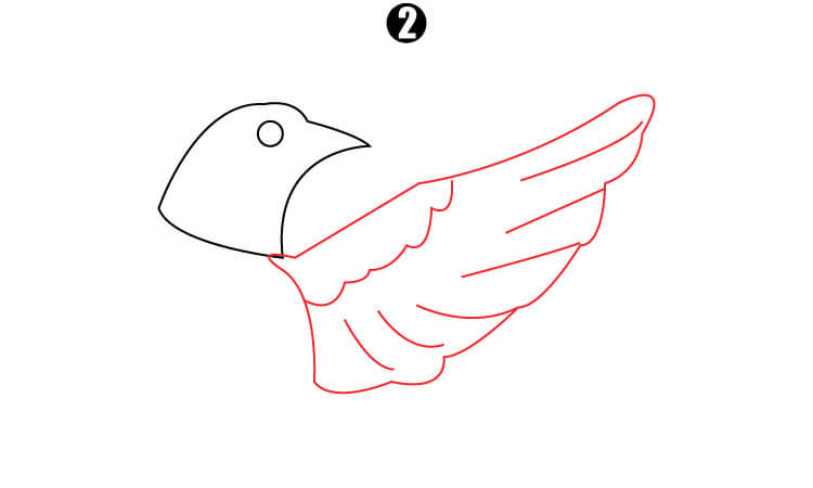 Flying bird drawing