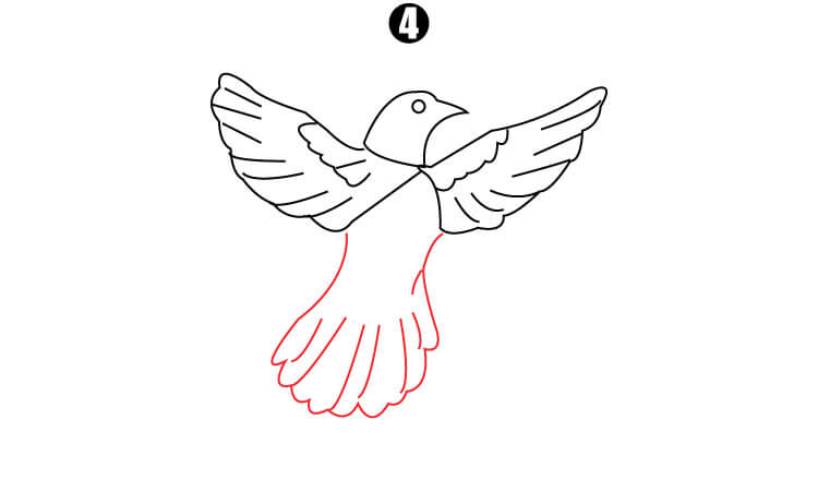 Flying bird drawing