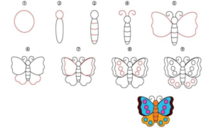 Cartoon Butterfly Drawing || Step by Step Tutorial - Cool Drawing Idea