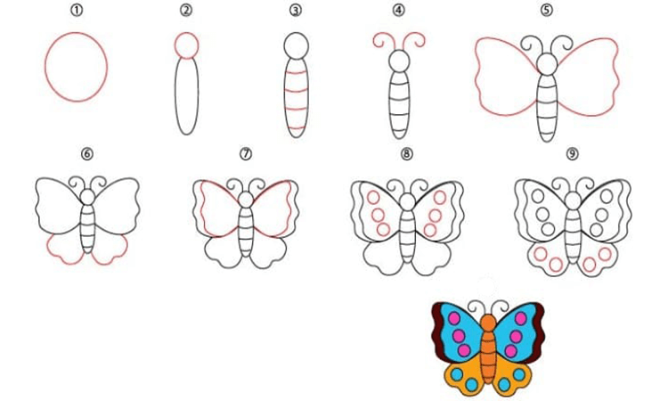Cartoon butterfly drawing step by step