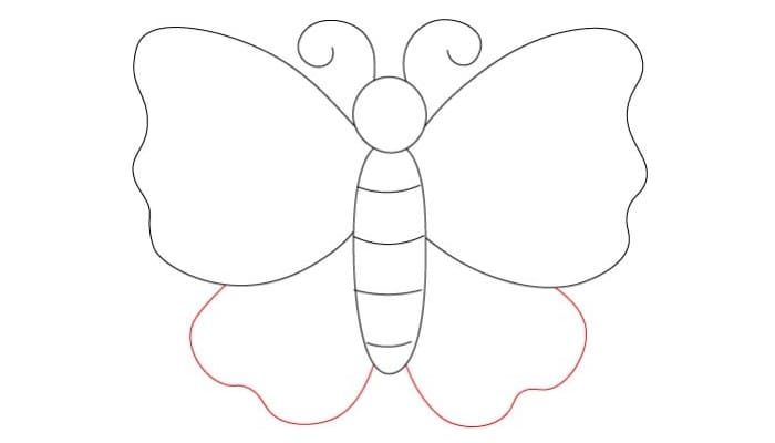 Cartoon butterfly drawing