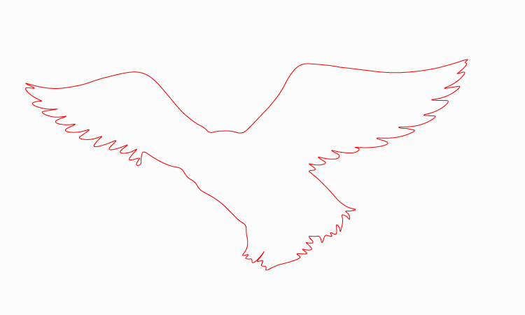 Hawk wings Drawing