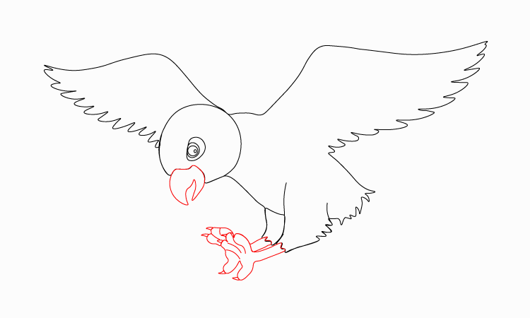 Hawk Drawing Flying