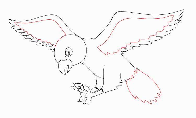 Simple Hawk Drawing for kids