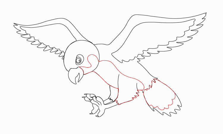Hawk Drawing Simple