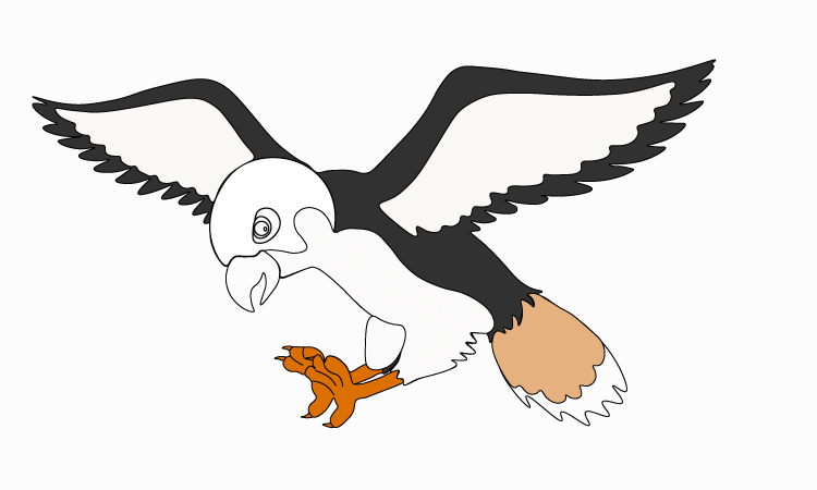 Simple Hawk Drawing