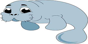 Manatee Drawing for kids