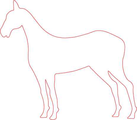 Pegasus Drawing step 1