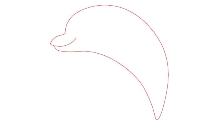 Cartoon Dolphin drawing