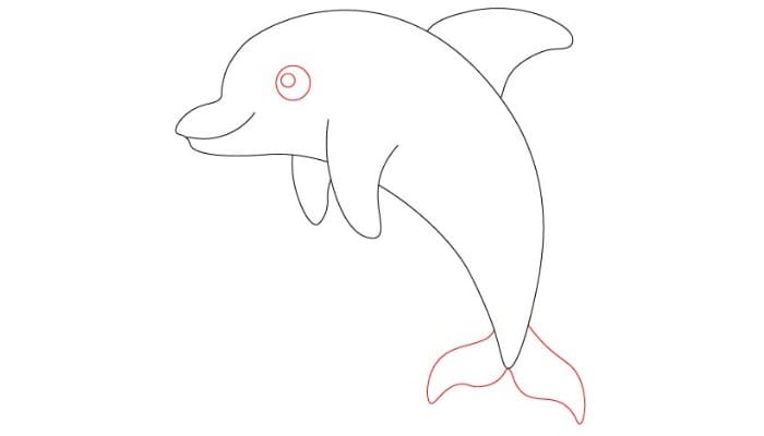 Cartoon Dolphin drawing for kids