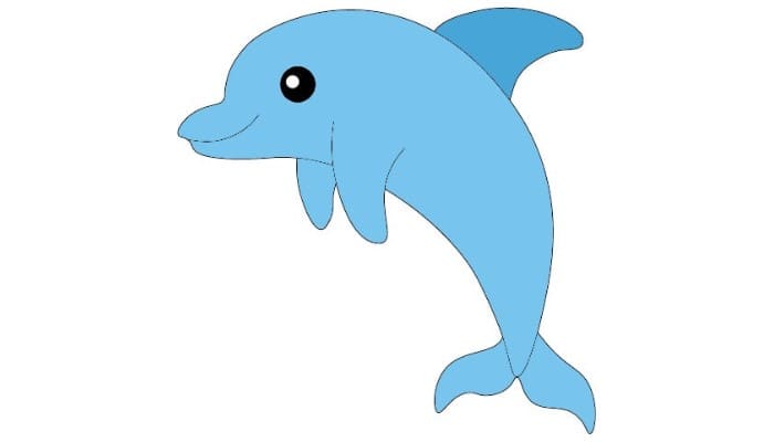 Cartoon Dolphin drawing