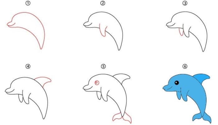 Cartoon Dolphin Step by Step