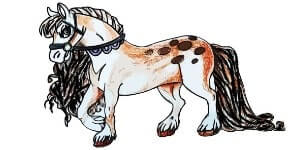 Gypsy Horse Drawing easy