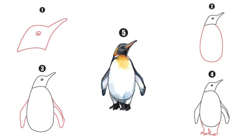 Penguin Drawing || Step by Step Tutorial - Cool Drawing Idea