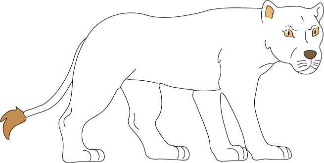 Lioness Drawing Step 5