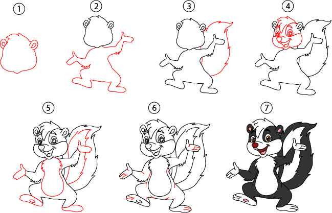 Skunk Drawing Step by Step