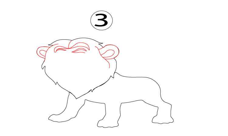 Roaring Lion Drawing Step 3