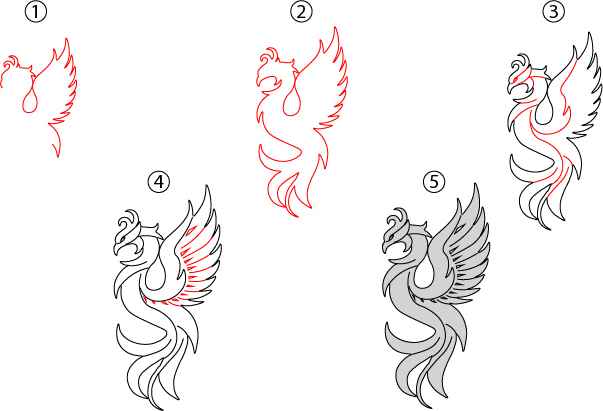 Phoenix Drawing Step by Step